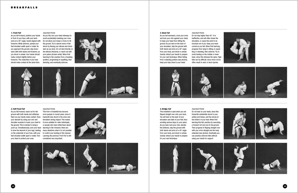 Sample pages from 'The Art of Ground Fighting'; one in a series of remarkable books that provide an in-depth look at the core concepts and techniques shared by a broad range of martial arts styles. Contains basics plus over 195 practical skills including chokes, joint locks, pins, ground kicks, sacrifice techniques, escapes, and counters from seated, reclining, and kneeling positions.