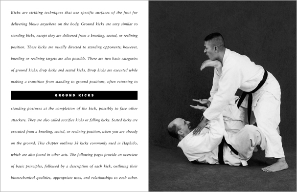 Sample pages from 'The Art of Ground Fighting'; one in a series of remarkable books that provide an in-depth look at the core concepts and techniques shared by a broad range of martial arts styles. Contains basics plus over 195 practical skills including chokes, joint locks, pins, ground kicks, sacrifice techniques, escapes, and counters from seated, reclining, and kneeling positions.