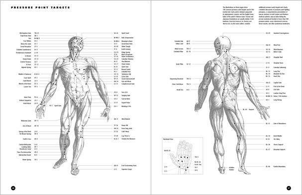 Sample pages from 'The Art of Holding'; one in a series of remarkable books that provide an in-depth look at the core concepts and techniques shared by a broad range of martial arts styles. Contains over 155 practical holds including joint locks, chokes, nerve holds, takedowns, pins, advanced combinations, and counterholds.