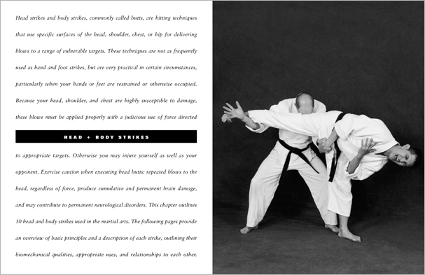 Sample pages from 'The Art of Striking'; one in a series of remarkable books that provide an in-depth look at the core concepts and techniques shared by a broad range of martial arts styles. Contains over 400 practical strikes including arm strikes, kicks, head butts, blocking and avoiding skills, combinations, and counters.