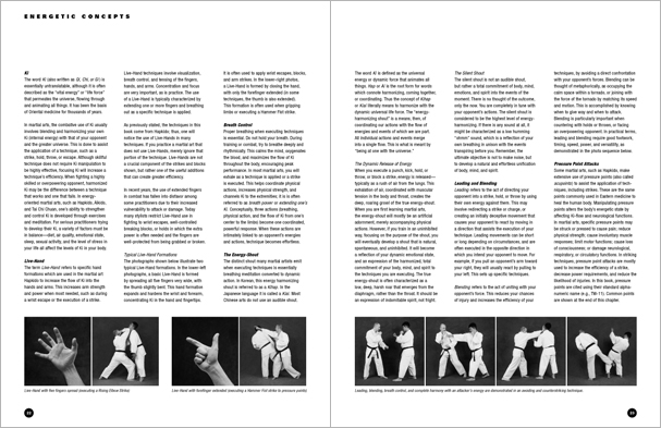 Sample pages from 'The Art of Striking'; one in a series of remarkable books that provide an in-depth look at the core concepts and techniques shared by a broad range of martial arts styles. Contains over 400 practical strikes including arm strikes, kicks, head butts, blocking and avoiding skills, combinations, and counters.