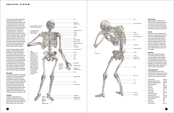 Sample pages from 'Essential Anatomy for Healing and Martial Arts'; a unique book that familiarizes healing practitioners and martial artists with basic concepts of the human body, as defined by both Western and Eastern medical traditions. Comprehensive, easy to understand, and lavishly illustrated in full color. Specially designed for students, healing professionals, and martial artists.