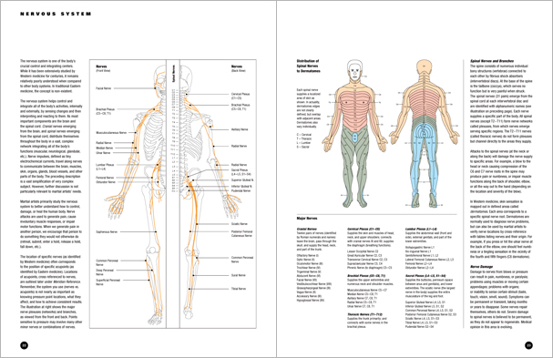 Sample pages from 'Essential Anatomy for Healing and Martial Arts'; a unique book that familiarizes healing practitioners and martial artists with basic concepts of the human body, as defined by both Western and Eastern medical traditions. Comprehensive, easy to understand, and lavishly illustrated in full color. Specially designed for students, healing professionals, and martial artists.