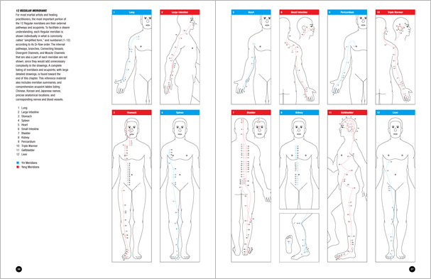 Sample pages from 'Essential Anatomy for Healing and Martial Arts'; a unique book that familiarizes healing practitioners and martial artists with basic concepts of the human body, as defined by both Western and Eastern medical traditions. Comprehensive, easy to understand, and lavishly illustrated in full color. Specially designed for students, healing professionals, and martial artists.