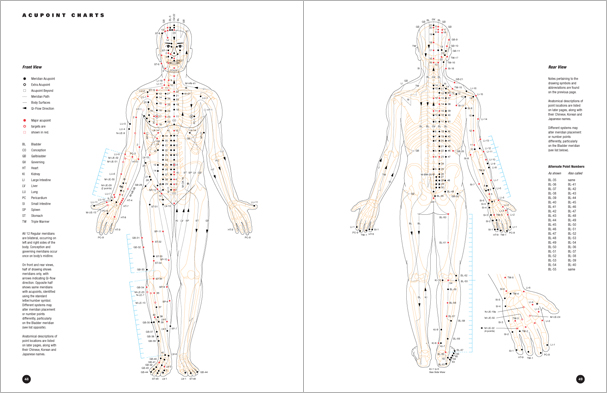 Sample pages from 'Essential Anatomy for Healing and Martial Arts'; a unique book that familiarizes healing practitioners and martial artists with basic concepts of the human body, as defined by both Western and Eastern medical traditions. Comprehensive, easy to understand, and lavishly illustrated in full color. Specially designed for students, healing professionals, and martial artists.