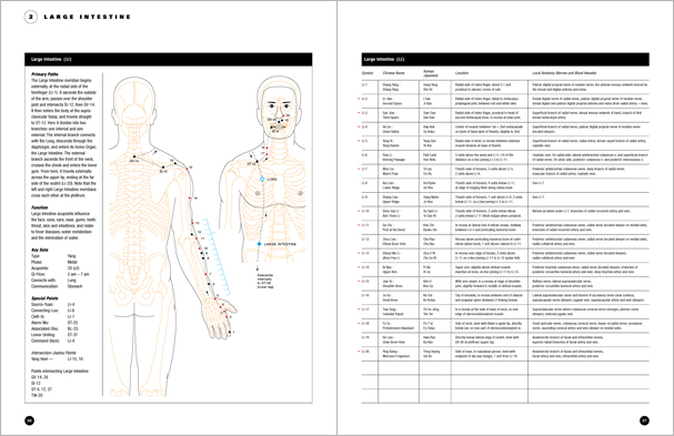 Sample pages from 'Essential Anatomy for Healing and Martial Arts'; a unique book that familiarizes healing practitioners and martial artists with basic concepts of the human body, as defined by both Western and Eastern medical traditions. Comprehensive, easy to understand, and lavishly illustrated in full color. Specially designed for students, healing professionals, and martial artists.