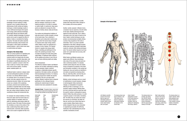 Sample pages from 'Essential Anatomy for Healing and Martial Arts'; a unique book that familiarizes healing practitioners and martial artists with basic concepts of the human body, as defined by both Western and Eastern medical traditions. Comprehensive, easy to understand, and lavishly illustrated in full color. Specially designed for students, healing professionals, and martial artists.