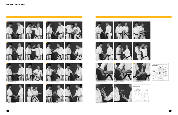 Sample pages from Hapkido Manuals by Marc Tedeschi, an invaluable series of concise affordable study-guides summarizing all Hapkido belt ranks, from novice to master-level.