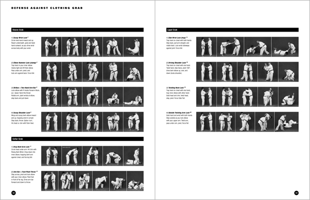 Sample pages from Hapkido Manuals by Marc Tedeschi, an invaluable series of concise affordable study-guides summarizing all Hapkido belt ranks, from novice to master-level.