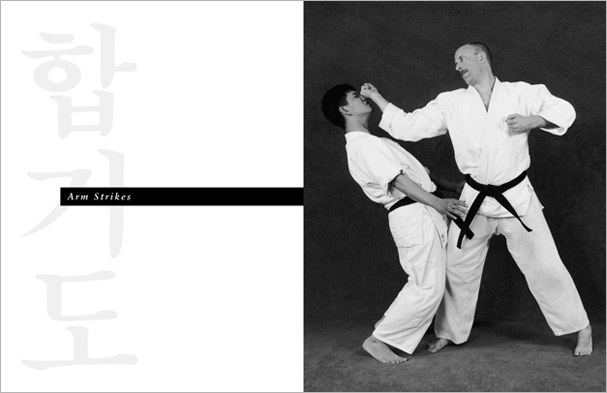 Sample pages from 'Hapkido', the most comprehensive book ever written on a single martial art; 1136 pages, 9000 photos, 2000 martial techniques.