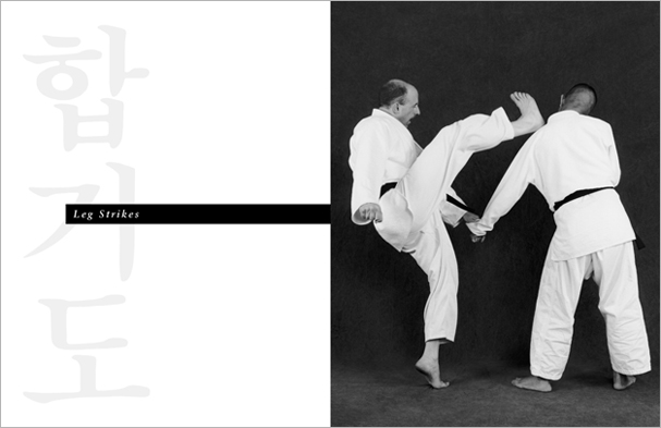 Sample pages from 'Hapkido', the most comprehensive book ever written on a single martial art; 1136 pages, 9000 photos, 2000 martial techniques.