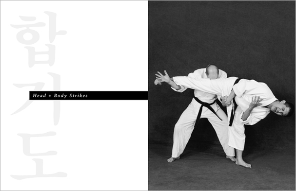 Sample pages from 'Hapkido', the most comprehensive book ever written on a single martial art; 1136 pages, 9000 photos, 2000 martial techniques.