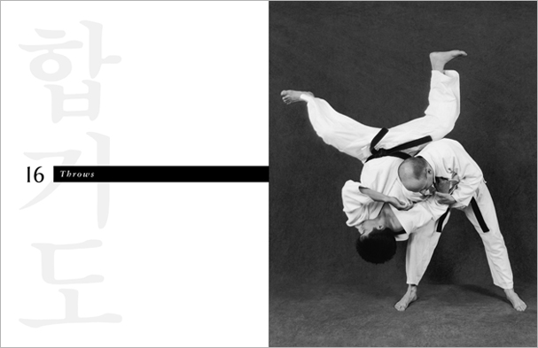 Sample pages from 'Hapkido', the most comprehensive book ever written on a single martial art; 1136 pages, 9000 photos, 2000 martial techniques.