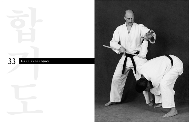 Sample pages from 'Hapkido', the most comprehensive book ever written on a single martial art; 1136 pages, 9000 photos, 2000 martial techniques.