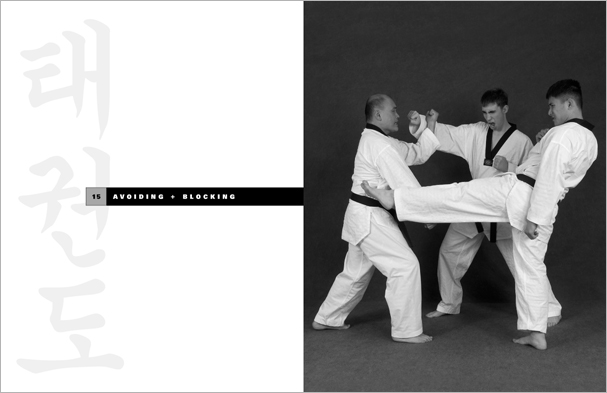 Sample pages from 'Taekwondo', the most comprehensive book ever written on the world's most popular martial art; 896 pages, 8600 photos, Traditional and Olympic-Style.