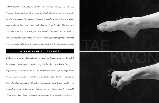 Sample pages from 'Taekwondo: The Essential Introduction', the first introductory text to provide a concise overview of Taekwondo in its entirety, with essential material for novices.